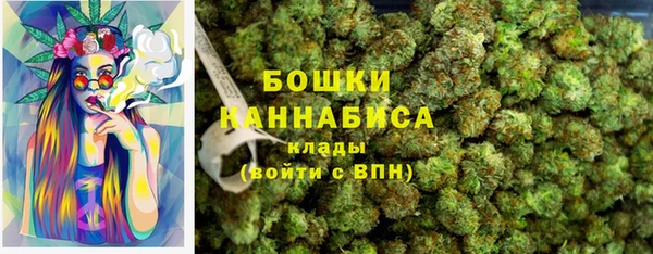 СК Новосибирск