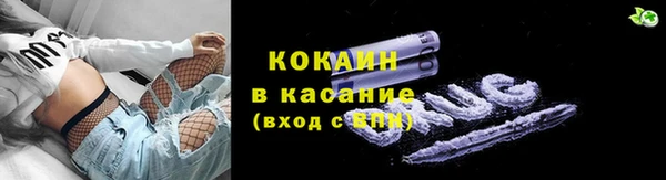 кокс Ессентукская