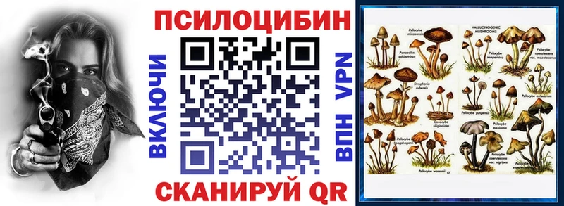где купить наркоту  Аксай  Псилоцибиновые грибы Psilocybe 