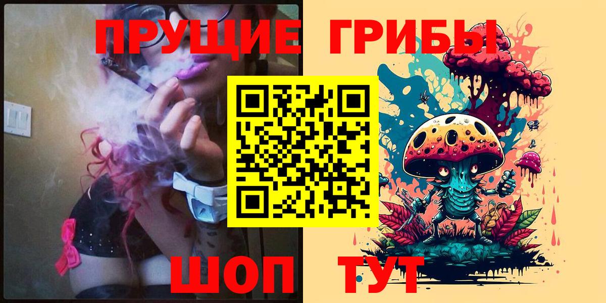 Псилоцибиновые грибы Psilocybe Аксай